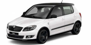Запасные части Skoda Fabia (5J)